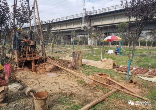 沿江高鐵肥東段迎關鍵節點 店埠河特大橋啟動勘測，為2020年開工建設鋪路